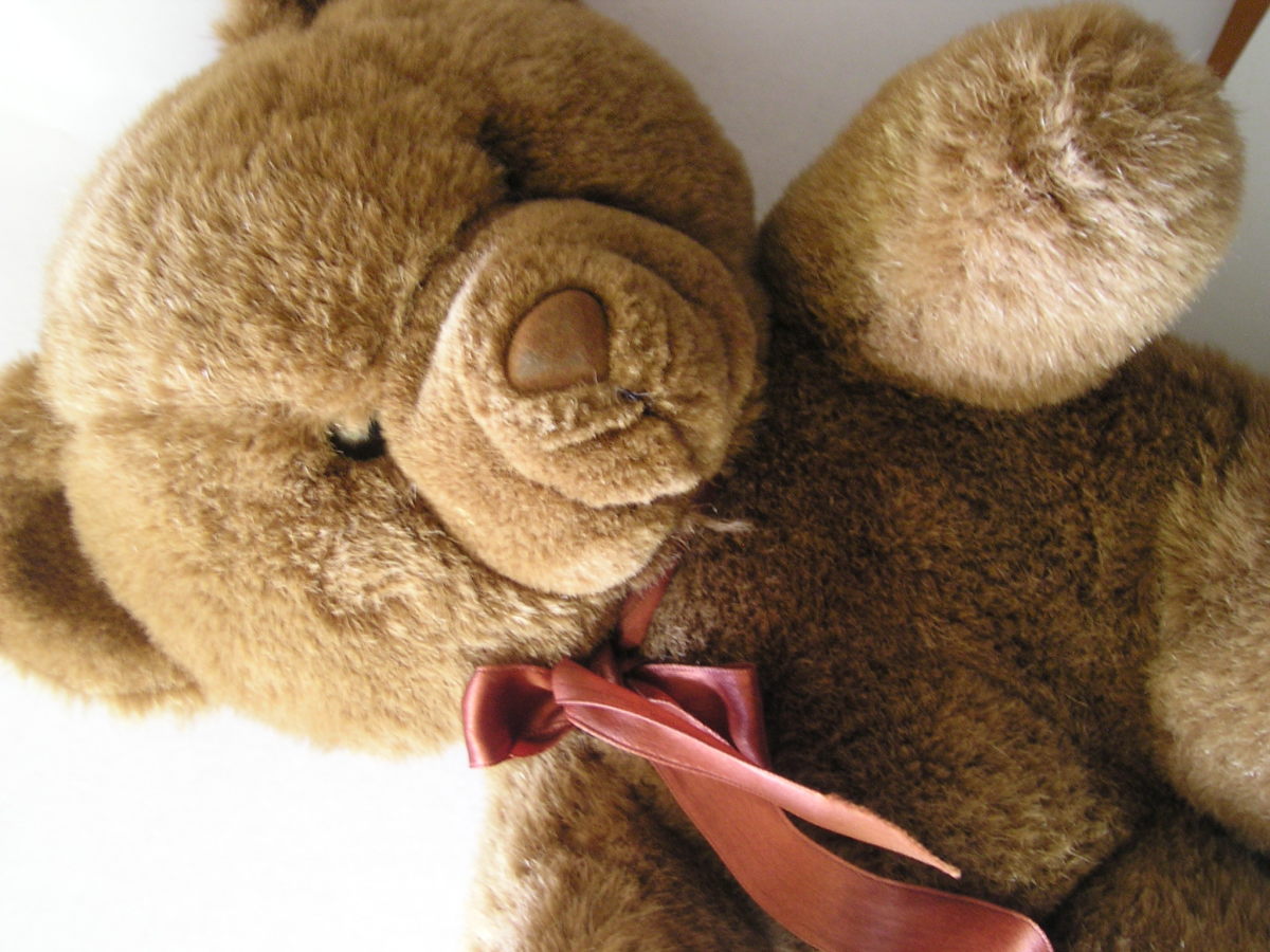 Fascinating History of the Teddy Bear HubPages