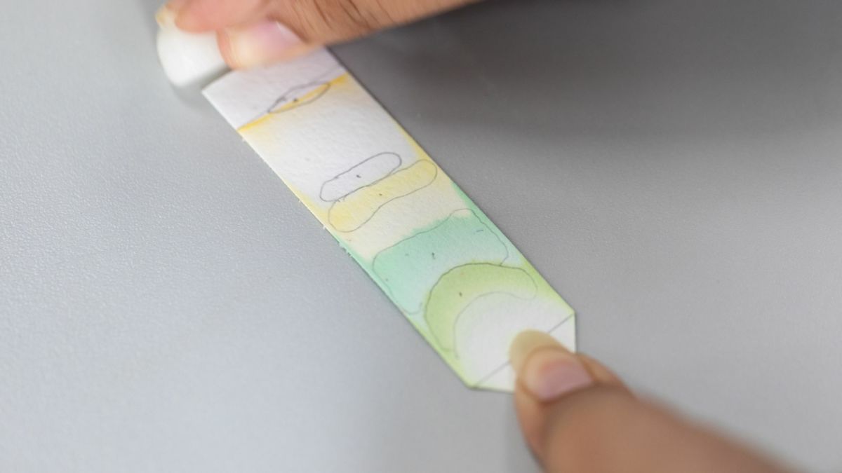 What Is Paper Chromatography and How Does It Work?