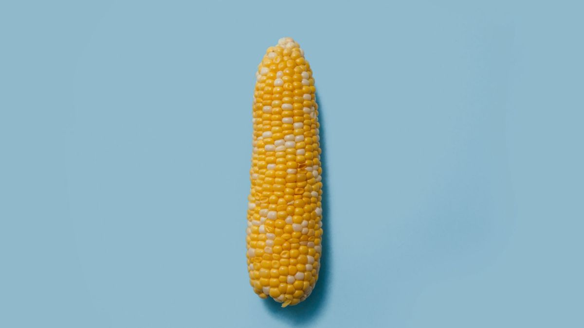 Why Does Corn Come Out Whole in My Poop?