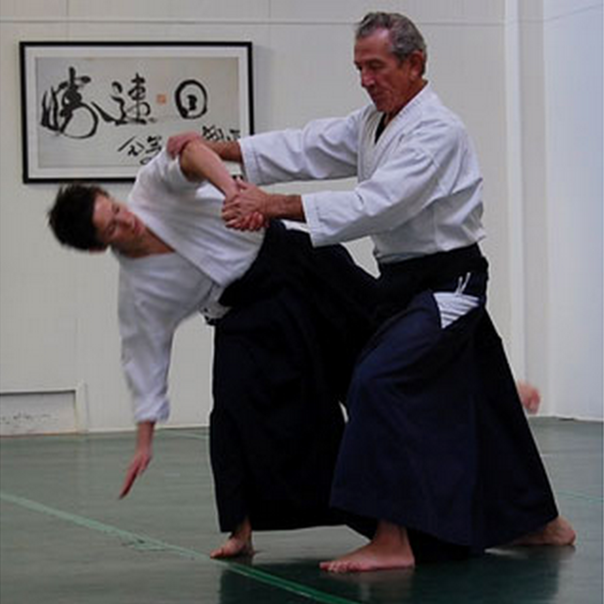 Can You Learn Aikido on Your Own - HubPages