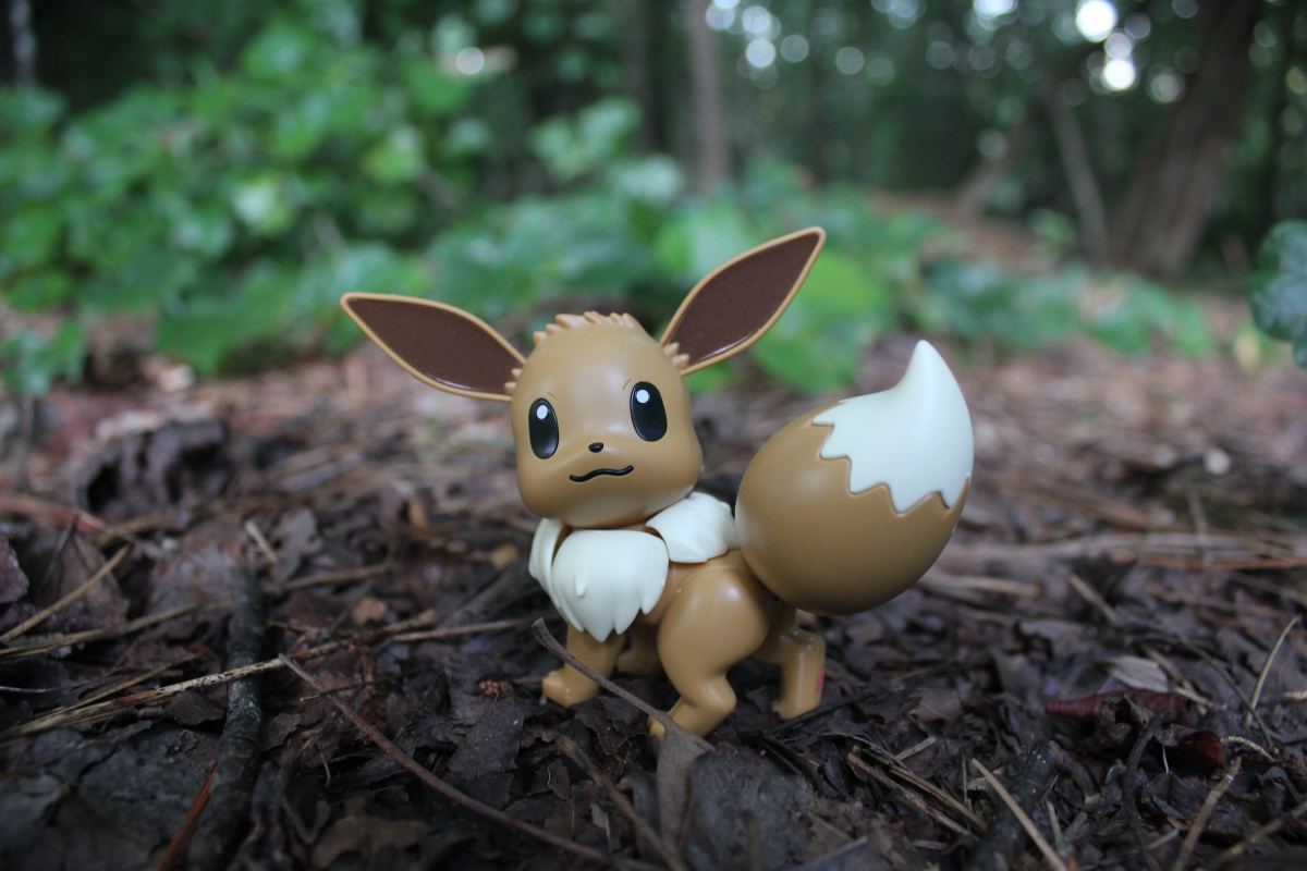 How to Evolve Eevee in the 