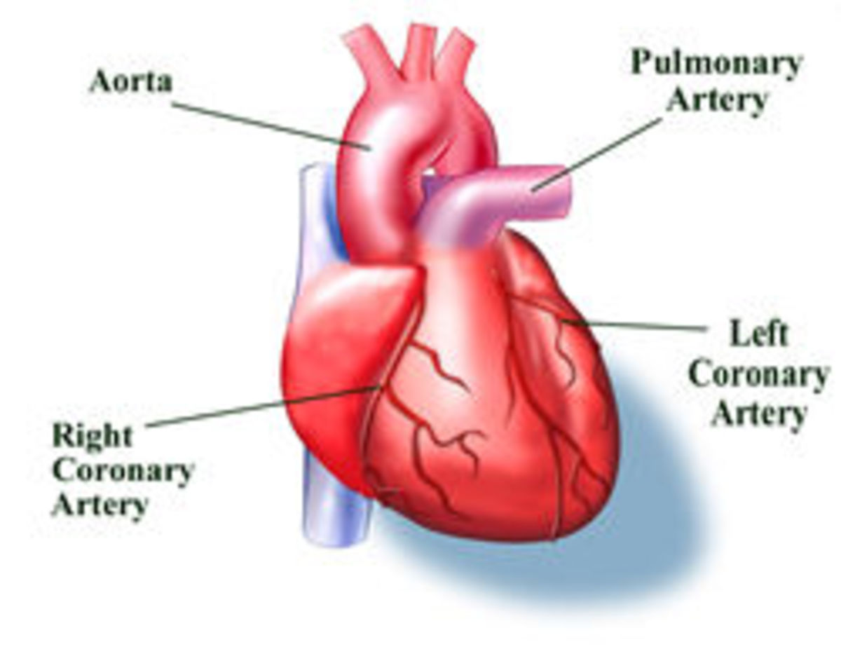 Heart Attack,Causes Symptoms Treatment and Prevention