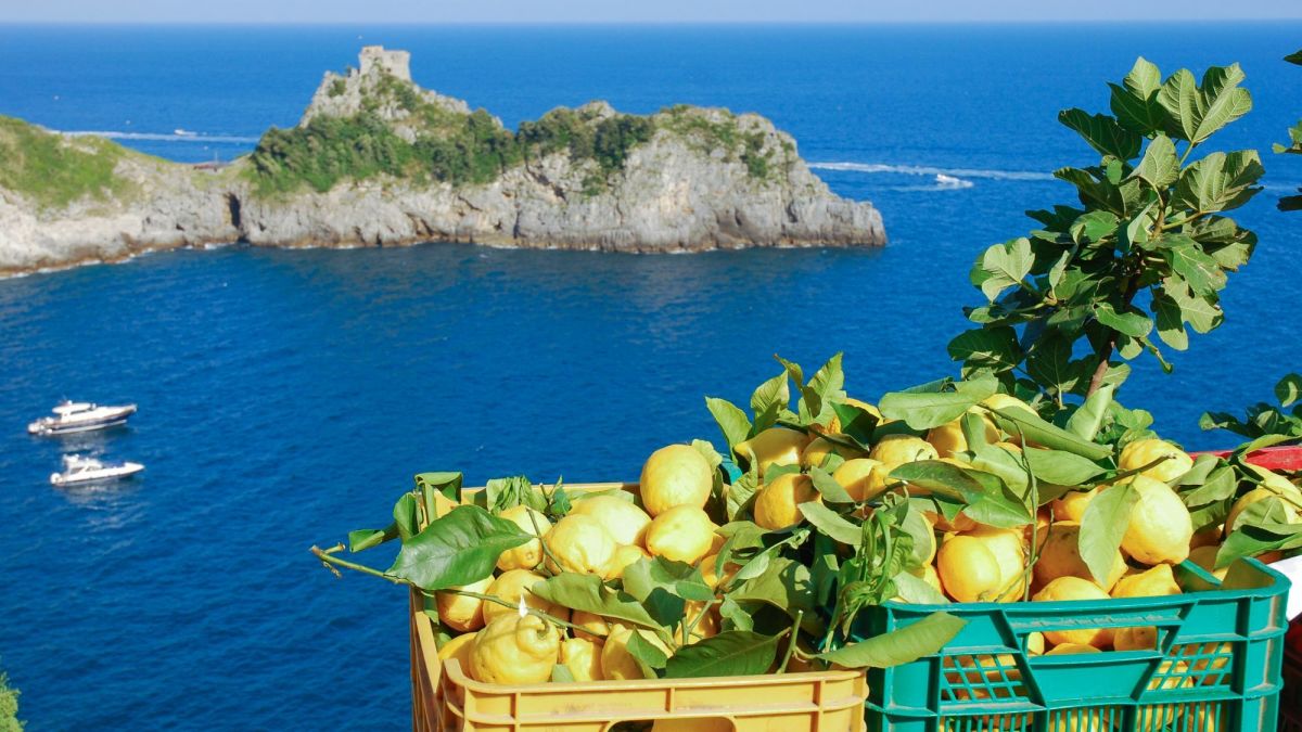 Lemons Galore and Limoncello on Italy’s Amalfi Coast