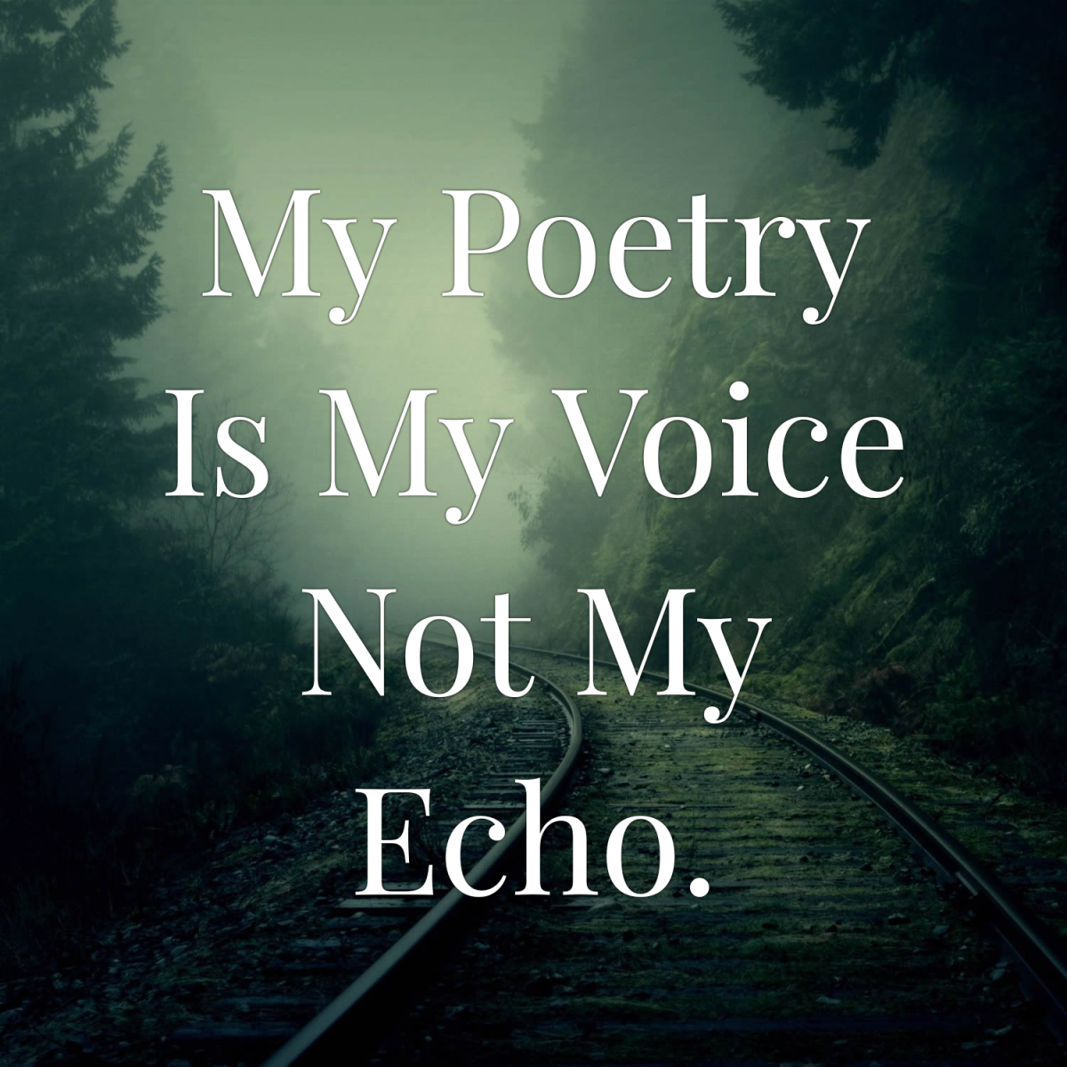 My Poetry Is My Voice Not My Echo.