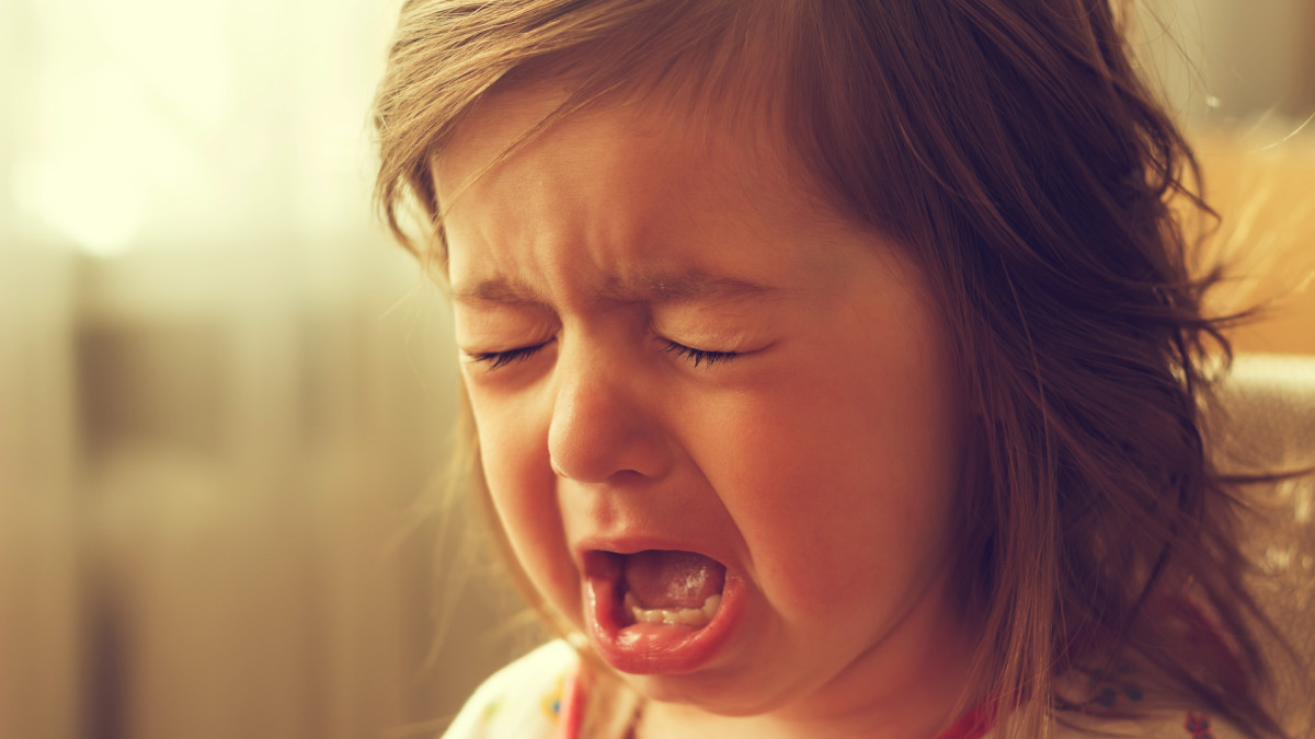 Toddler Has Adorably Emotional Reaction To Watching Mom Sing ...