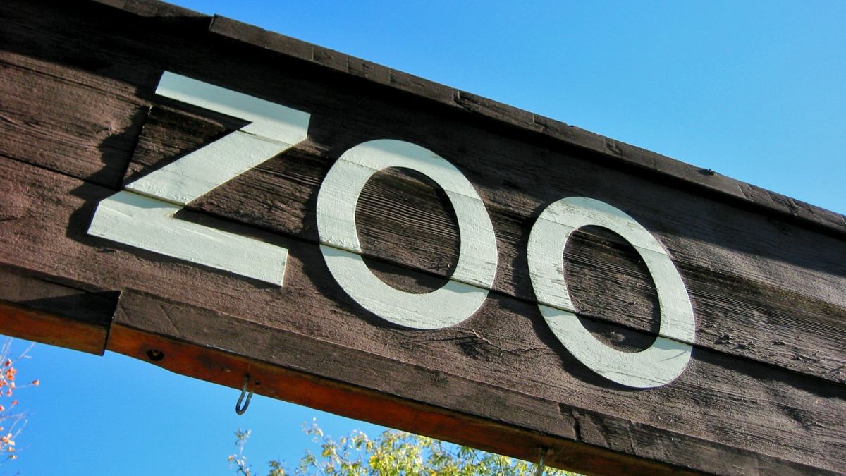 31 Best Zoos to Visit in the United States
