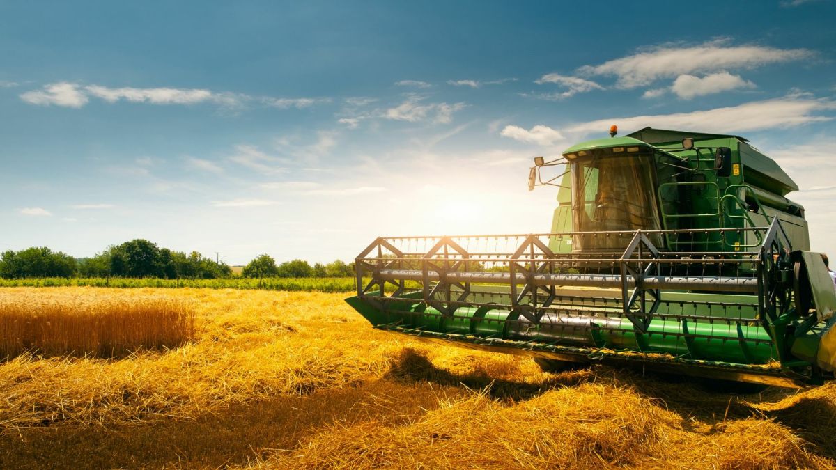 A Comprehensive Guide to Crop Identification