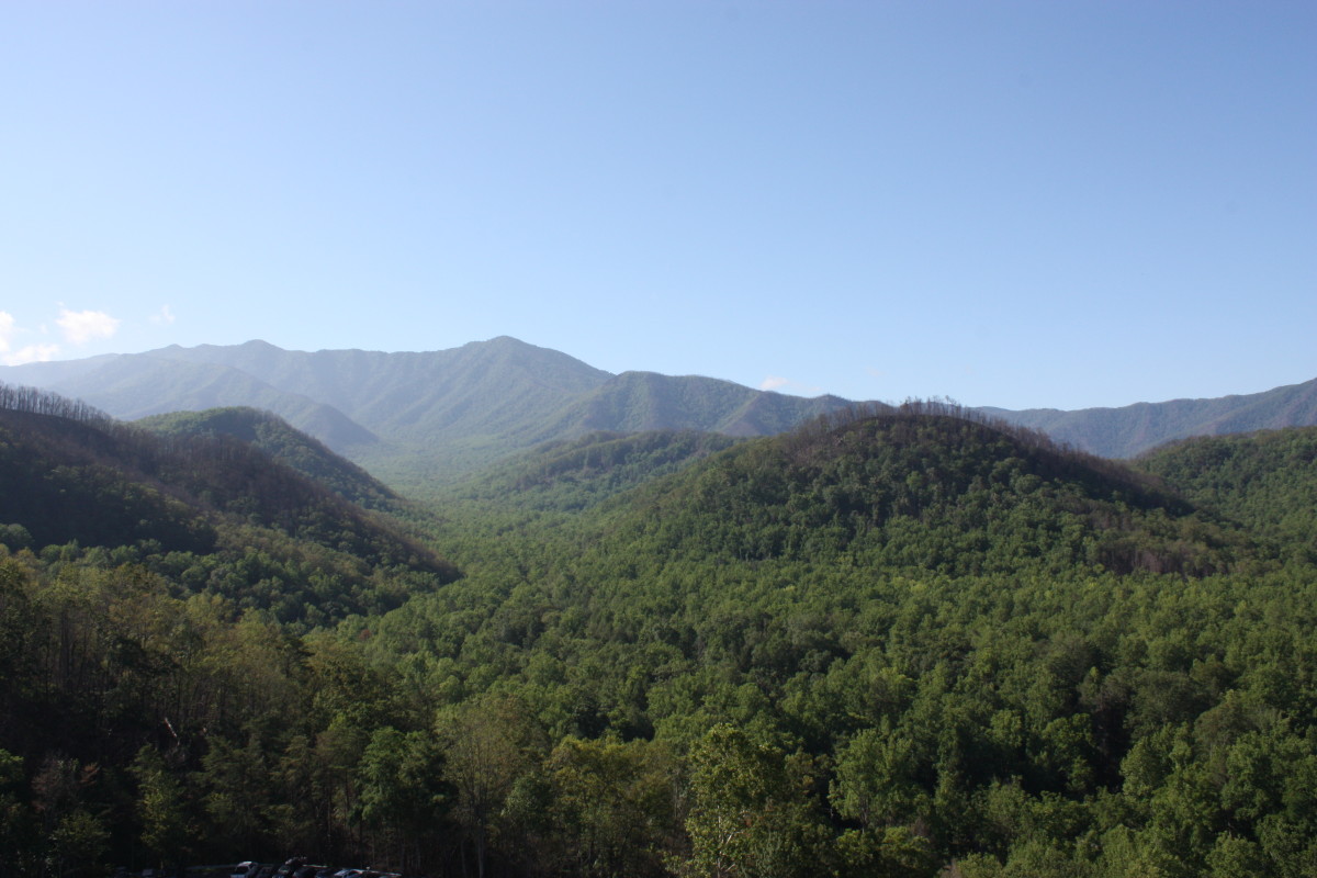 5 Things I Loved About Our Trip to Gatlinburg, TN