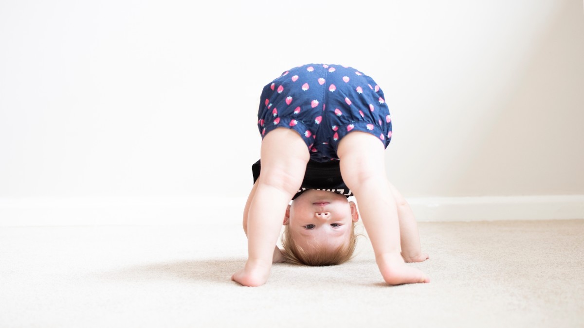 Toddler Gives Herself a Bald Spot in Hilarious Way WeHaveKids News