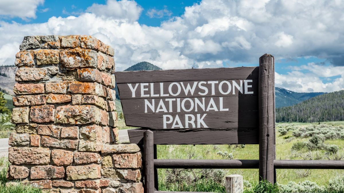 6 Must-See Sights for Non-Hikers in Yellowstone National Park