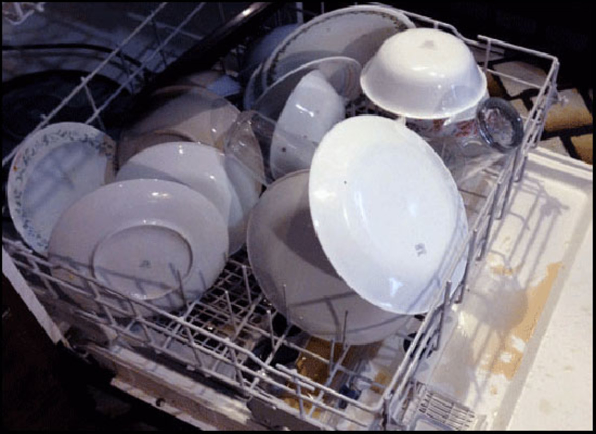 Job Certification for Kids Dishwashing HubPages