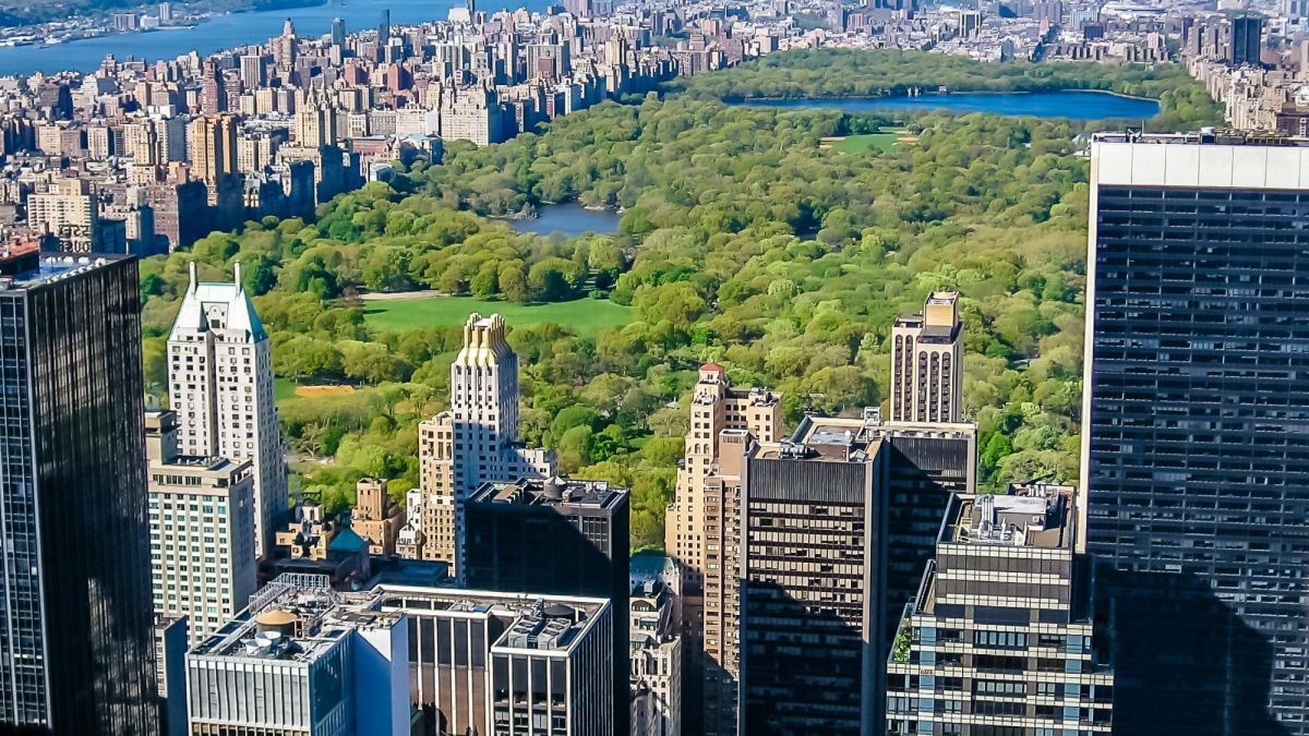 The 21 Best Spots in Central Park for Kids