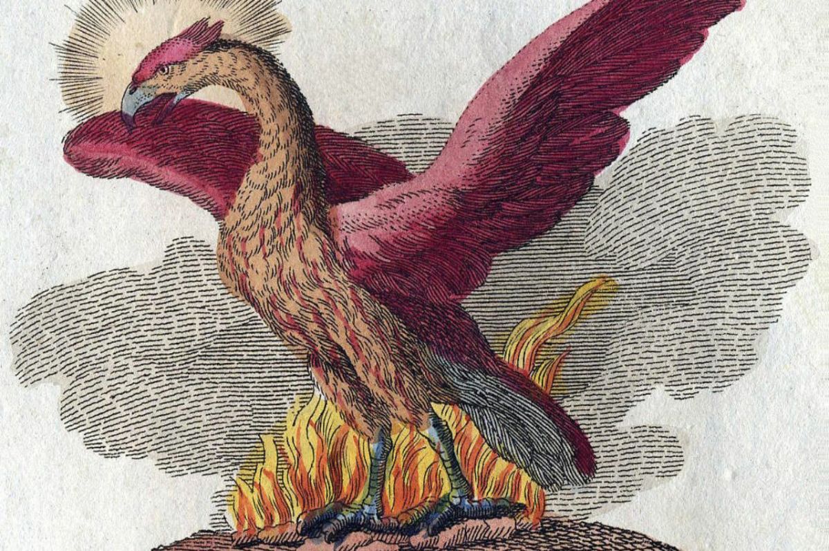 Rebirth and the Phoenix Tattoo