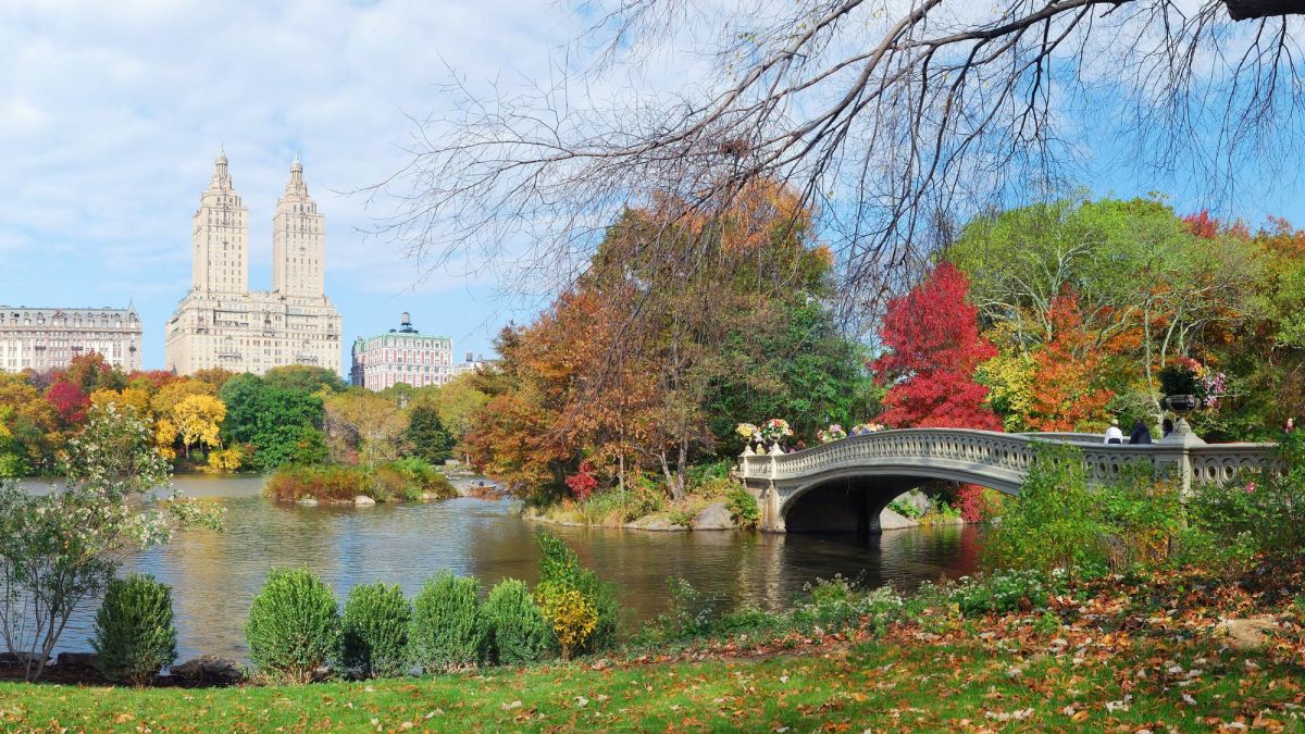 17 Relaxing Things to Do in Central Park, New York City