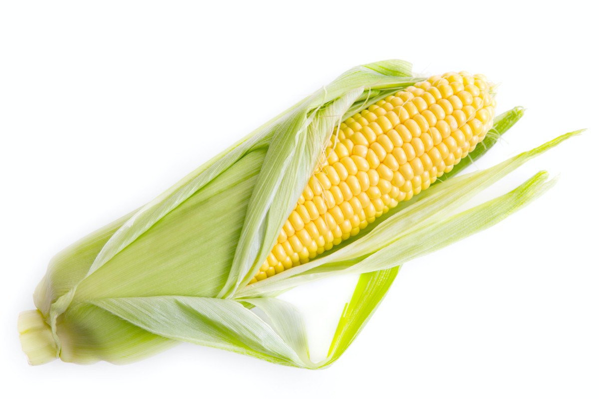 How to Incorporate Corn in Your Diet