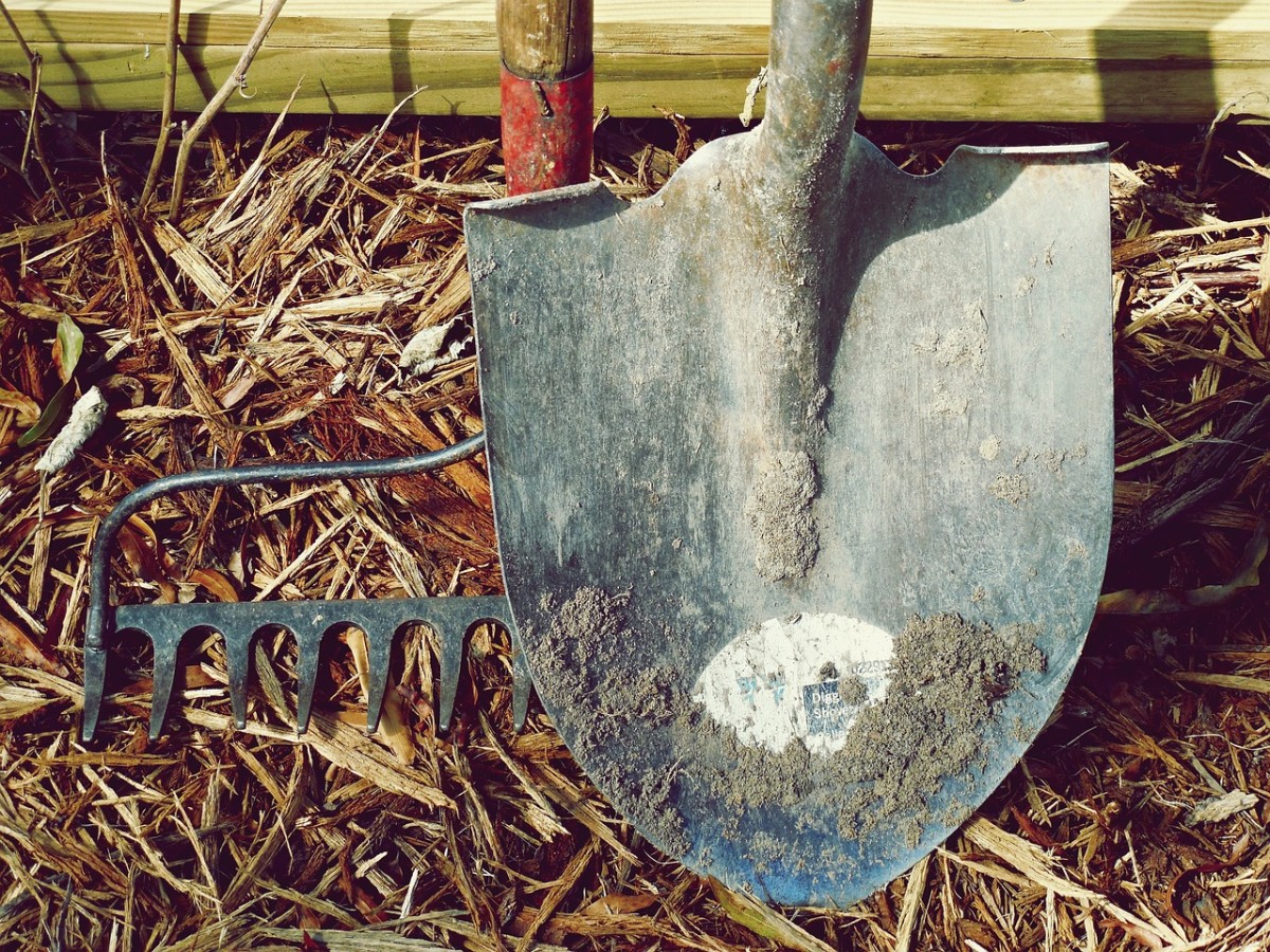 How to Effectively Clean Garden Tools Fast
