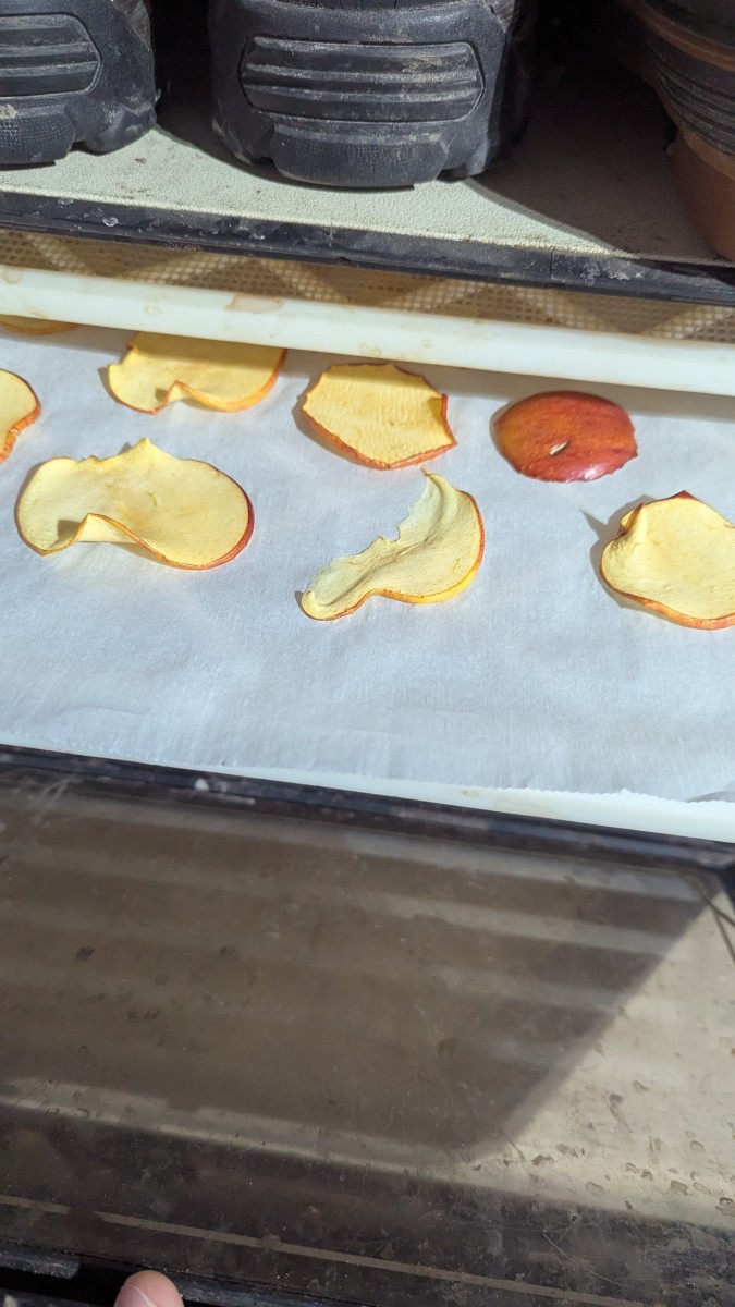 Dehydrating Banana Chips or Even Apples