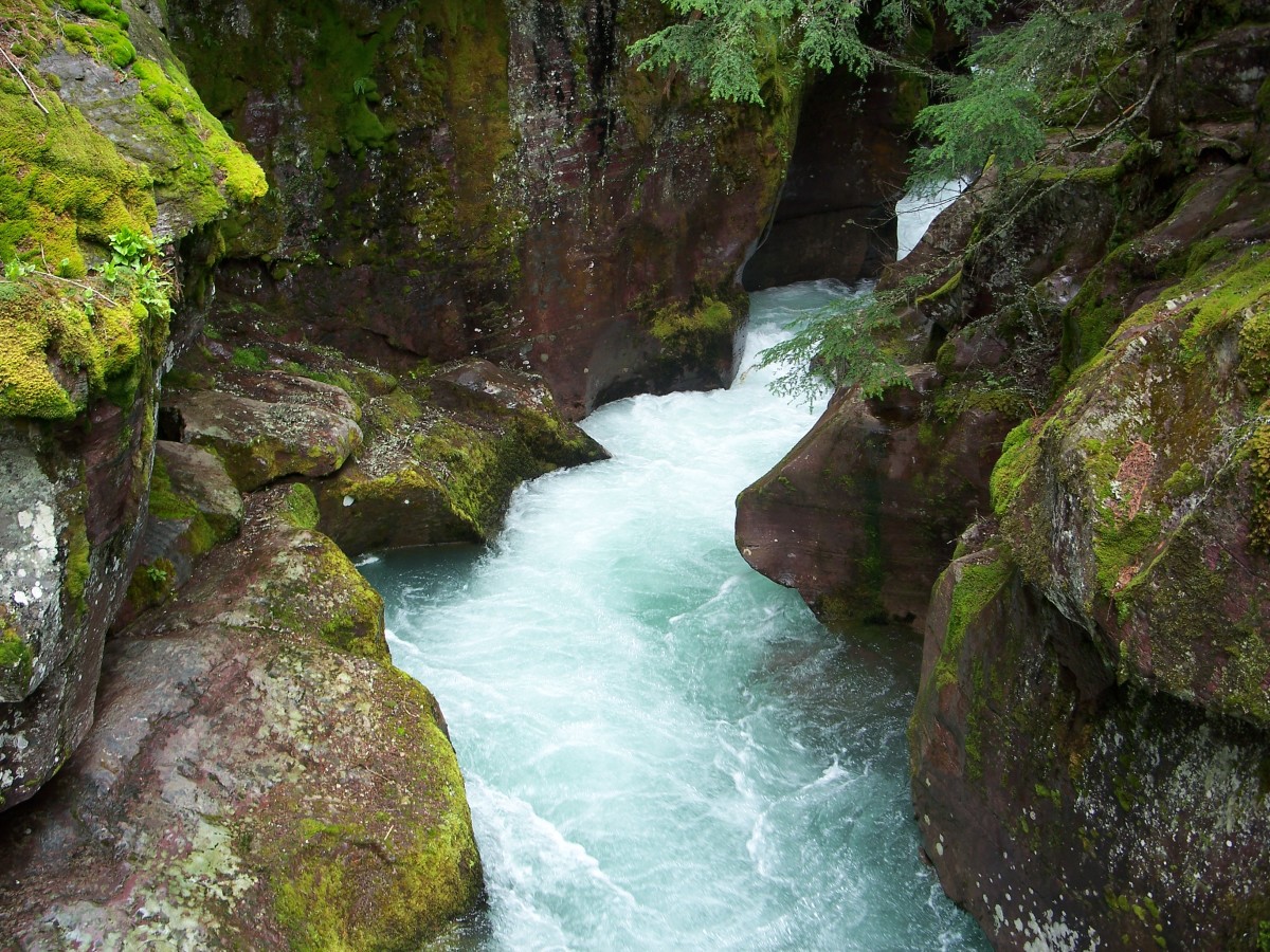 Do Not Drink Sewage Water; Survival Information by Laurens Wright