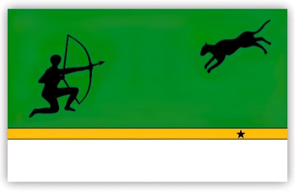 The flag of Amazonas, a Colombian department, has a jaguar on it The flag of Amazonas, a Colombian department, has a jaguar on it