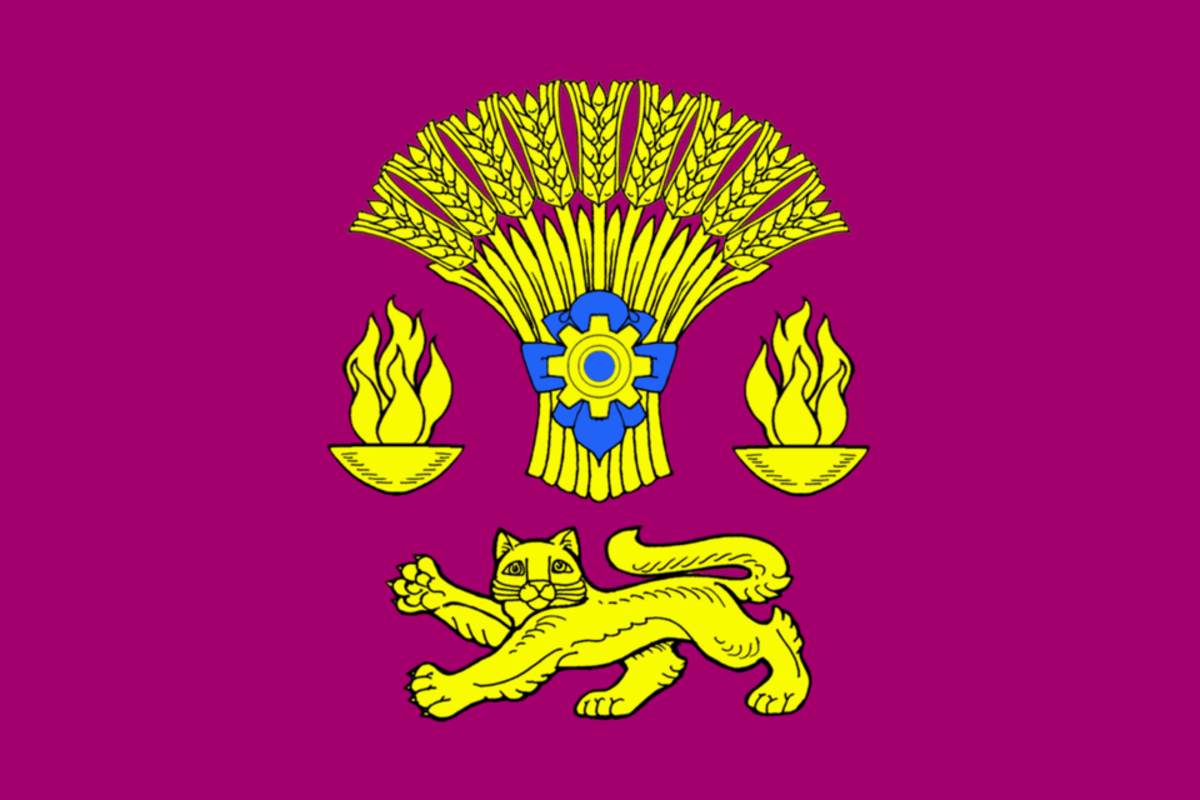 Flag of Kotovsky, a district in Russia. It has a yellow cat. Flag of Kotovsky, a district in Russia. It has a yellow cat.