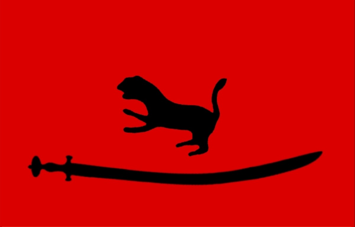 The Kalhora Dynasty flag had a native mountain cougar. The Kalhora Dynasty flag had a native mountain cougar.