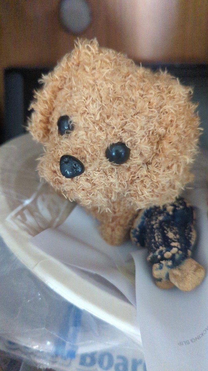 Myrobot Puppy - I Got a Puppy - Milow is his Name