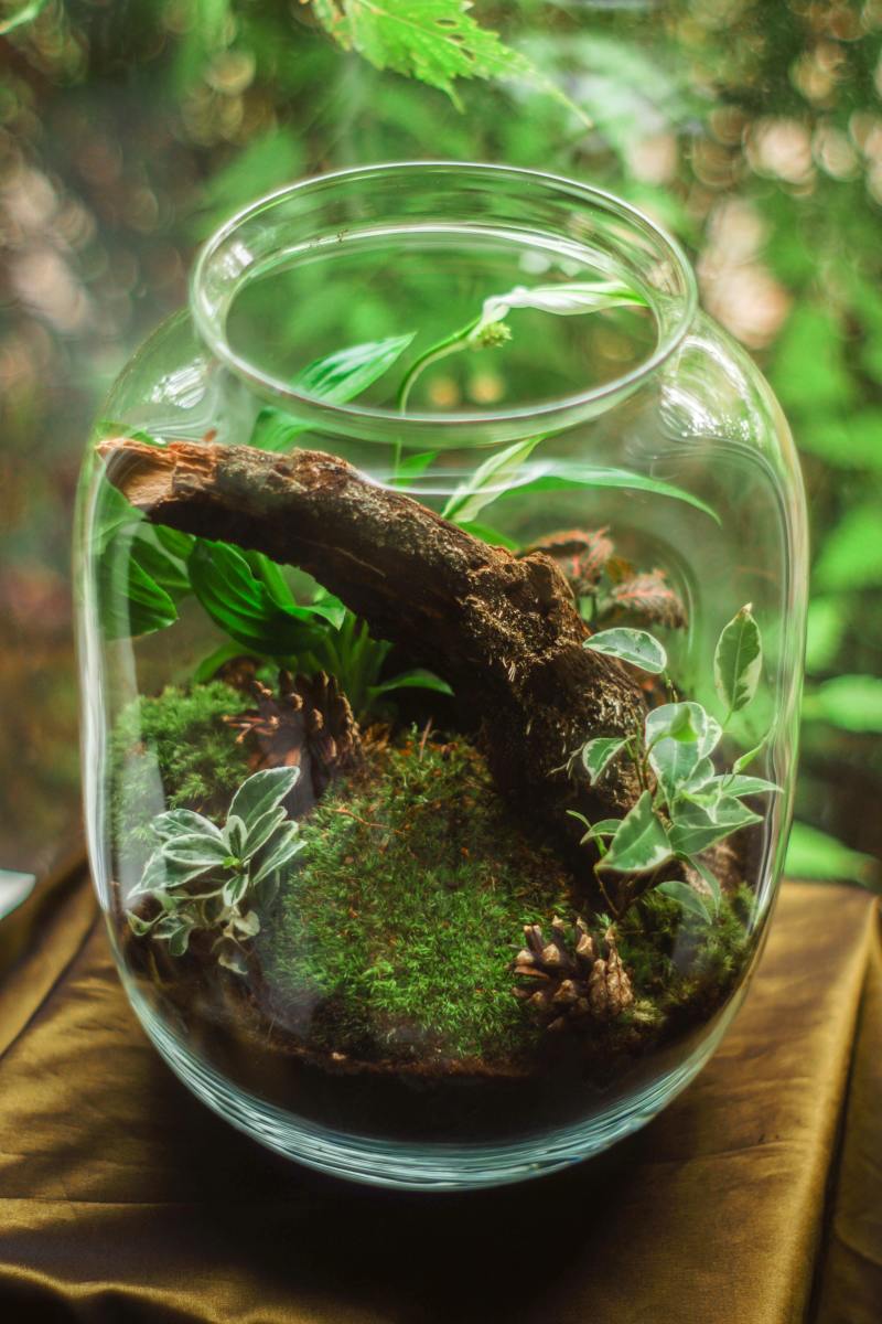 Ecosystem in a Jar