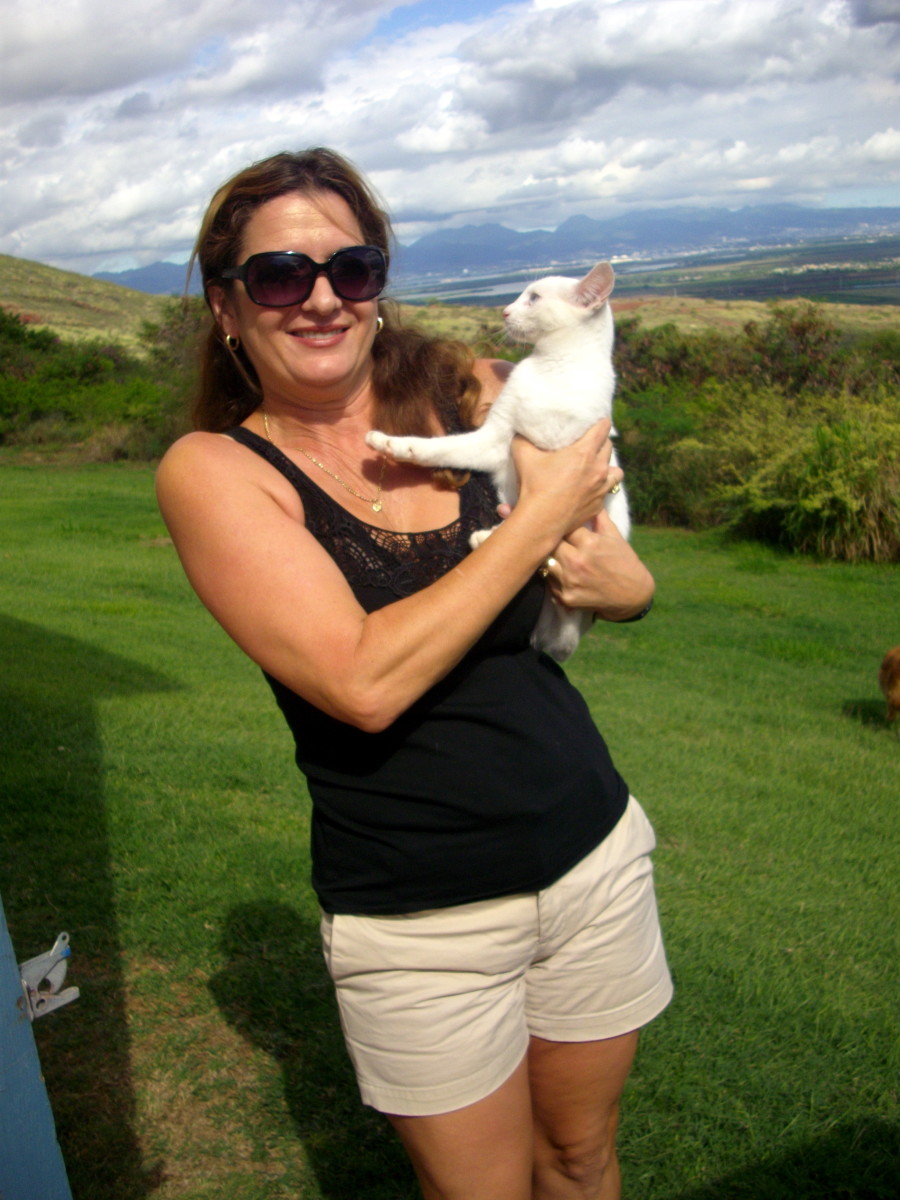Makakilo Cat Lady Gives Five Insights on Mousers