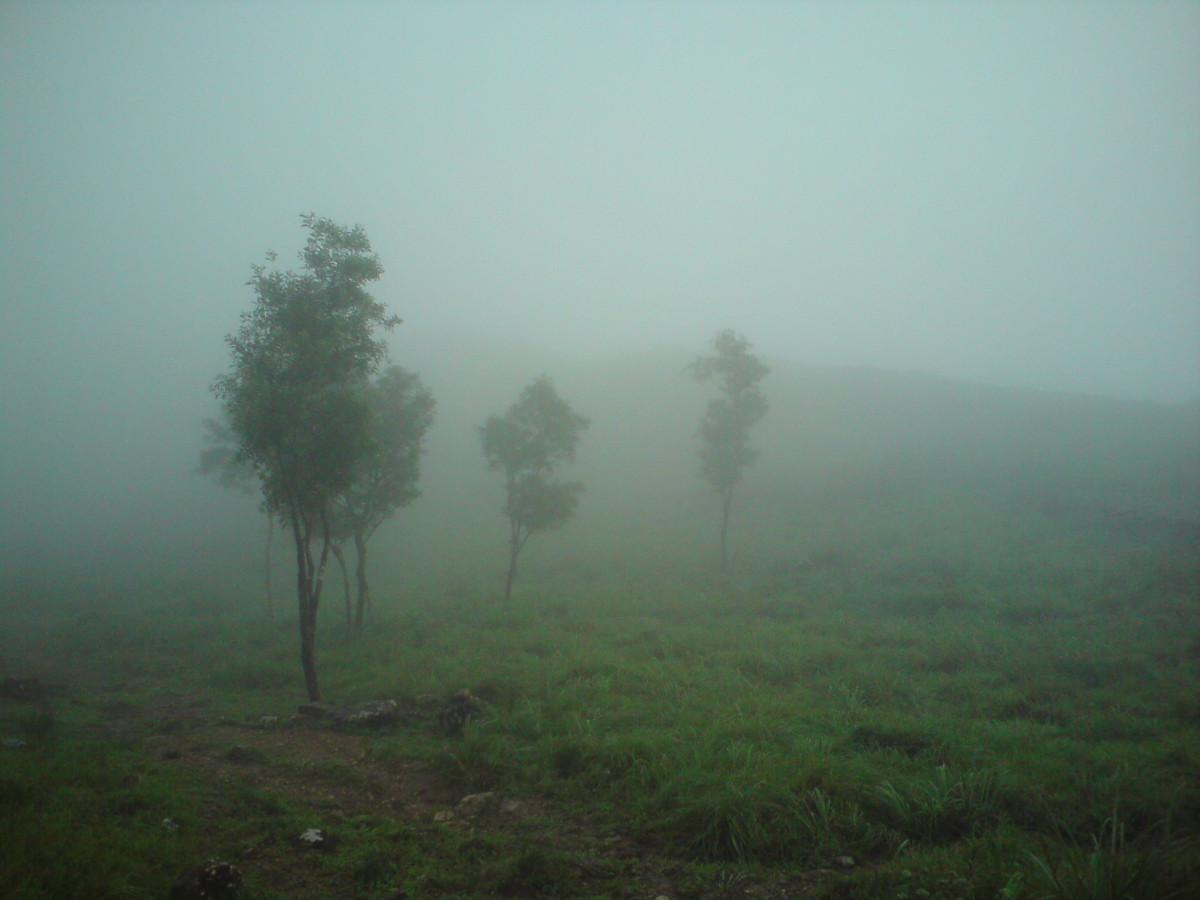 The beauty of Kerala: Golden Peak “Ponmudi” Trip