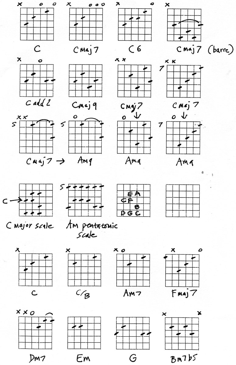 Guitar Chords and Theory Lesson