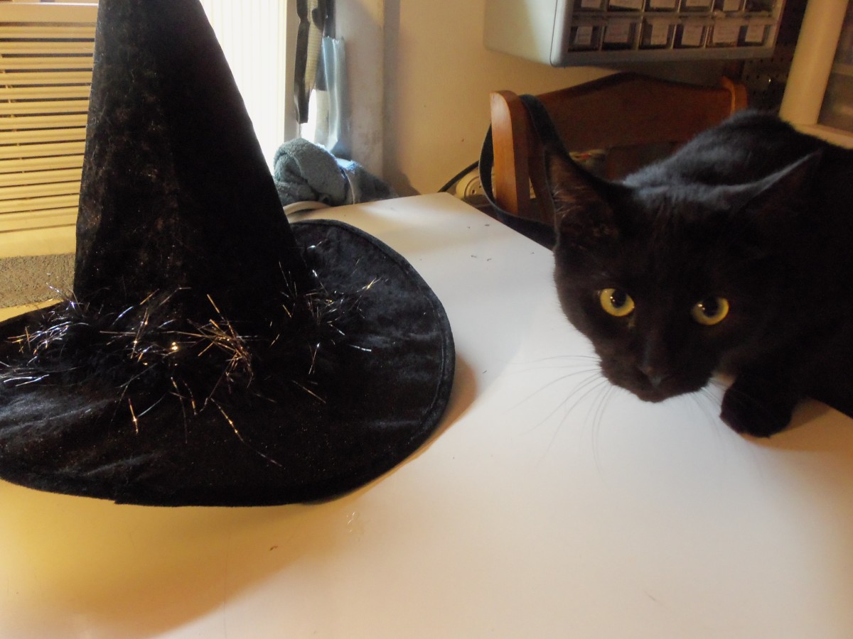 How to Stop Overdrawing Your Account. - HubPages