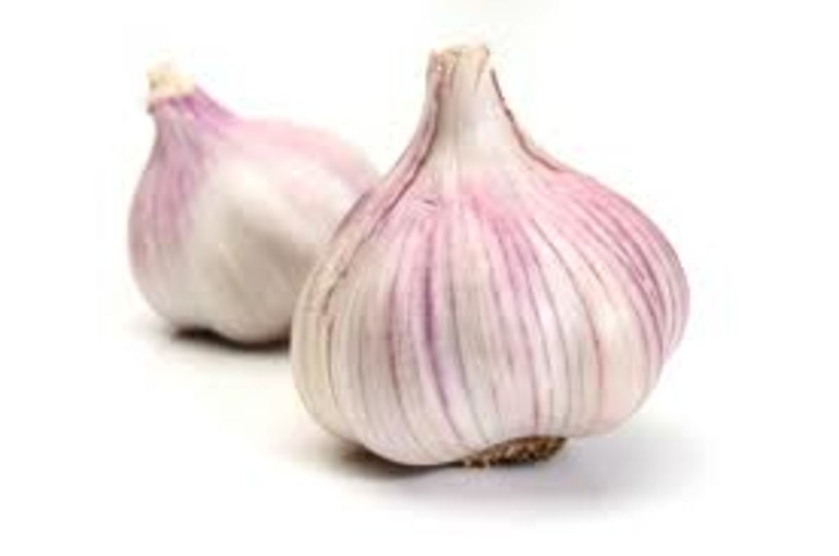 Benefits of Garlic
