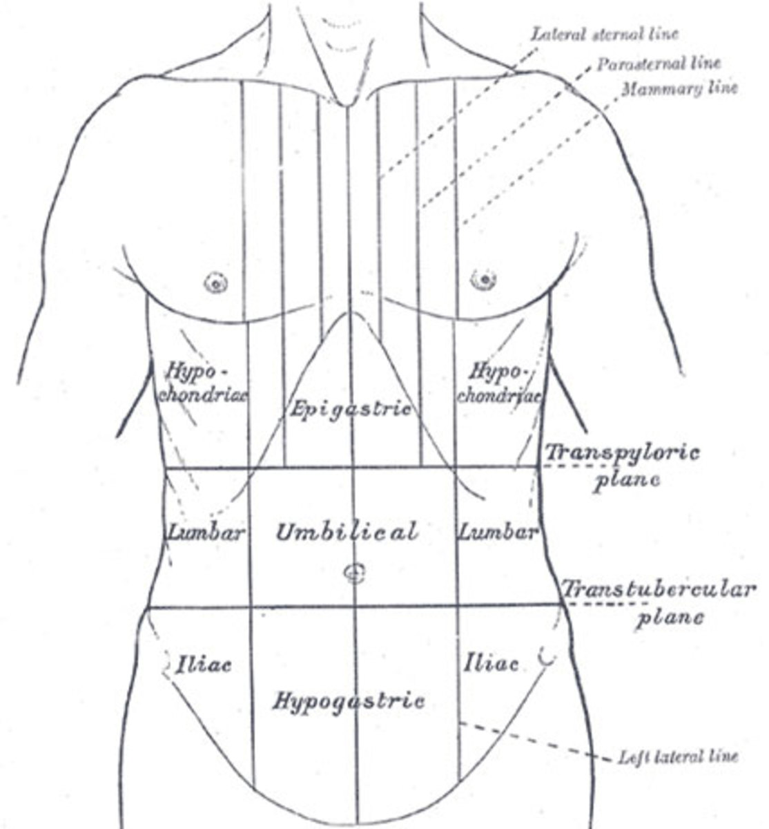 Indigestion Symptoms