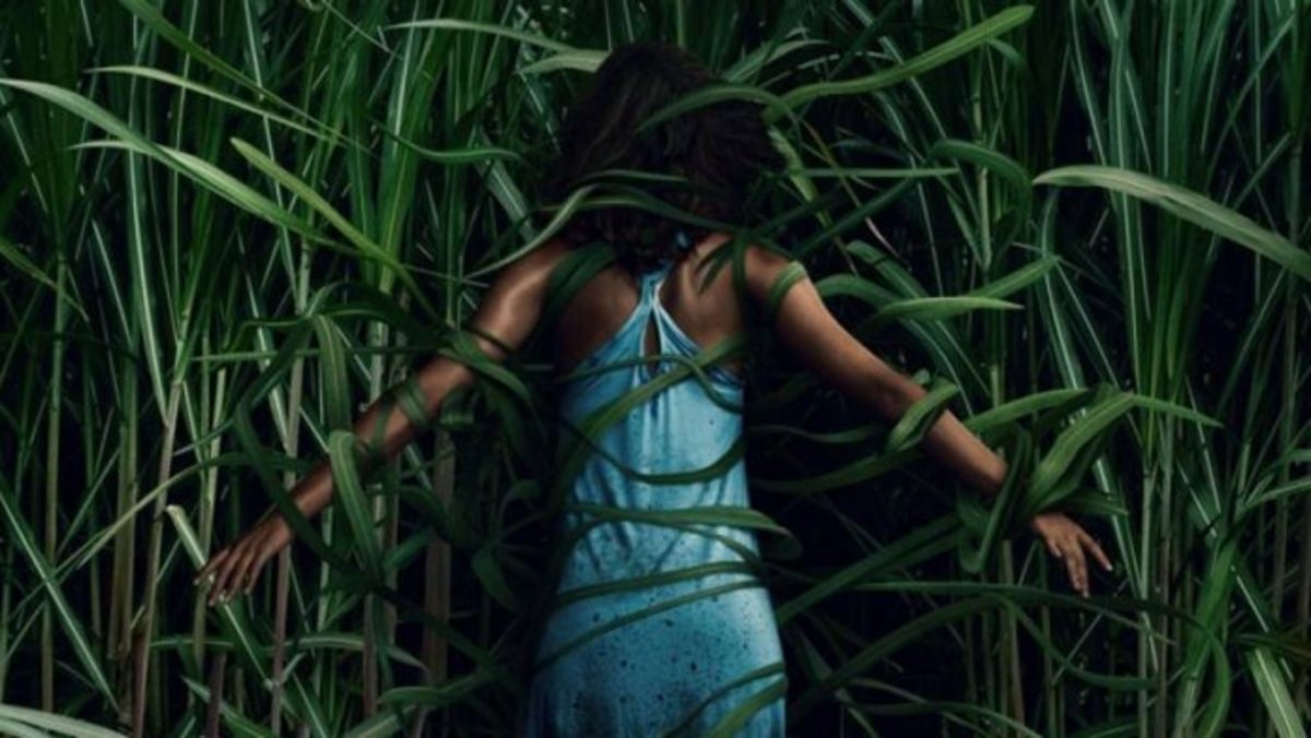 In the Tall Grass Review