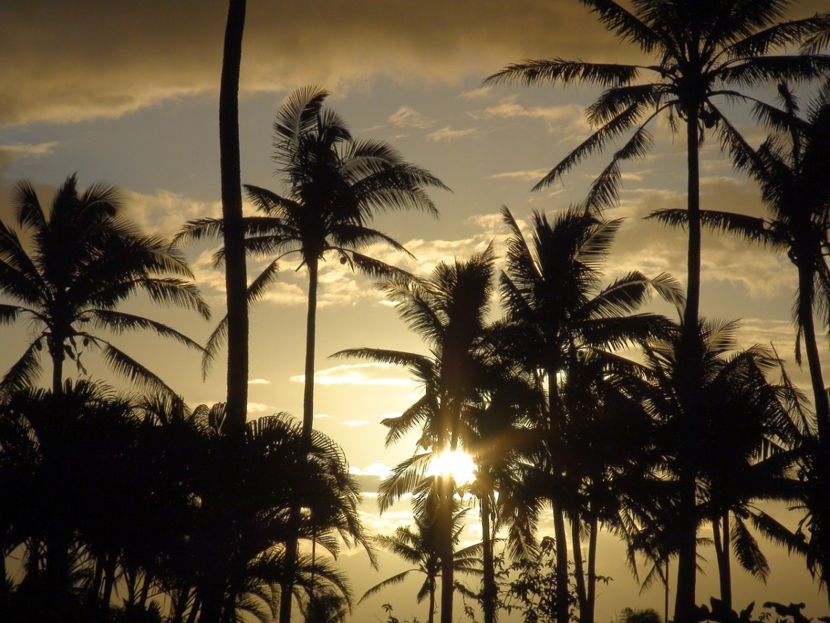 4 Free and Cheap Things To Do In Fiji
