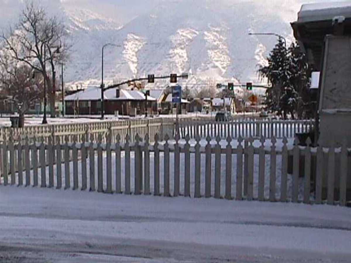 A Fence For All Seasons And All Reasons