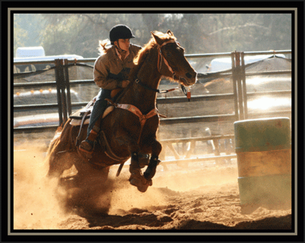 How to Barrel Race Horses