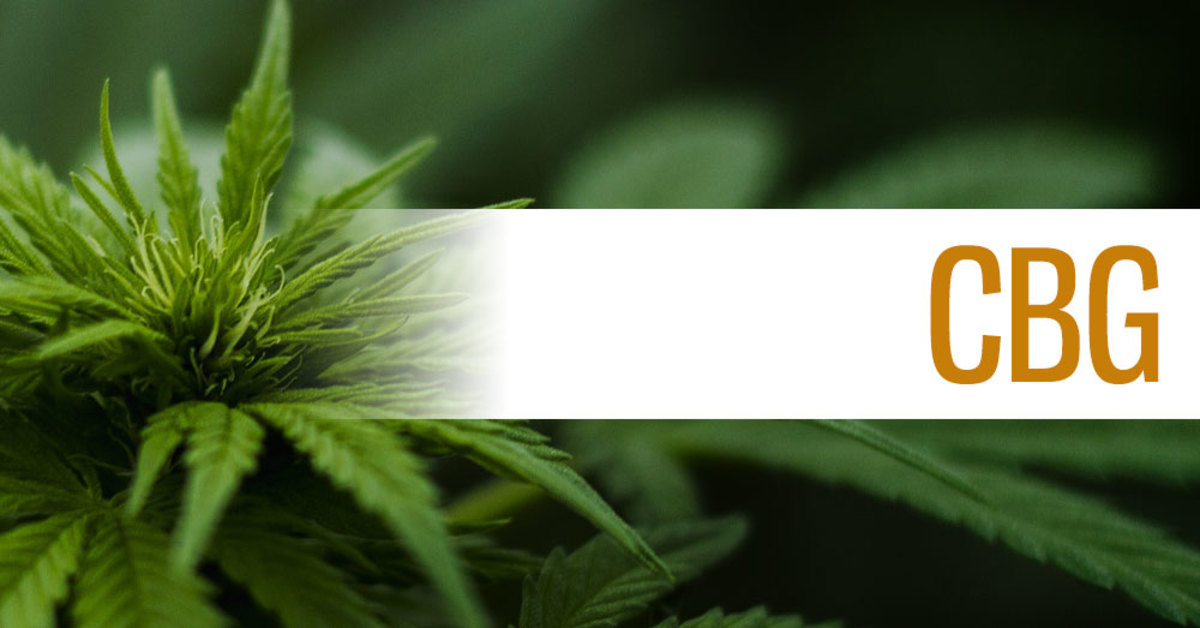 What Is Cbg & Is It Good for Your Body?