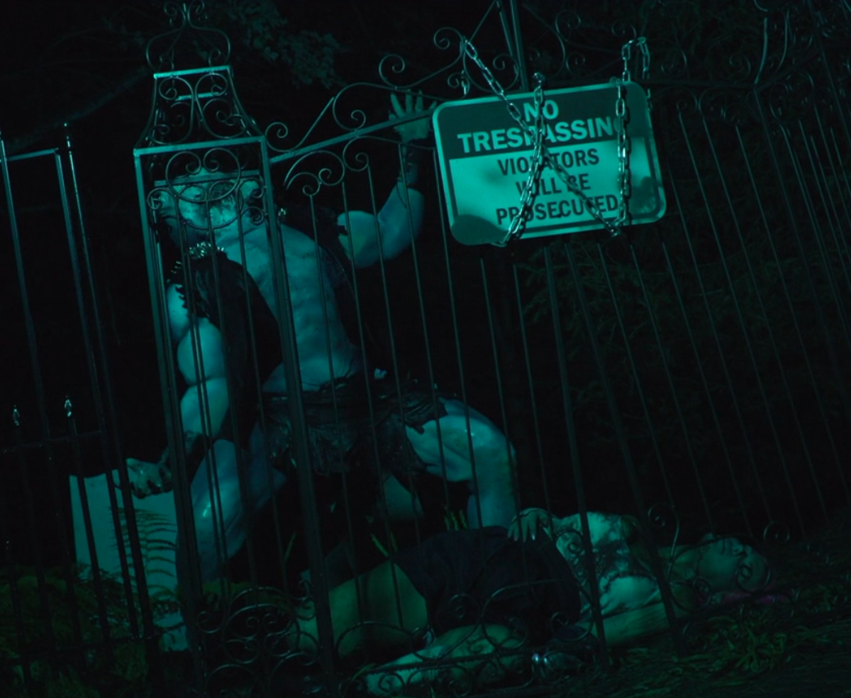 Shark Attack Sunday: Graveyard Shark (2024)