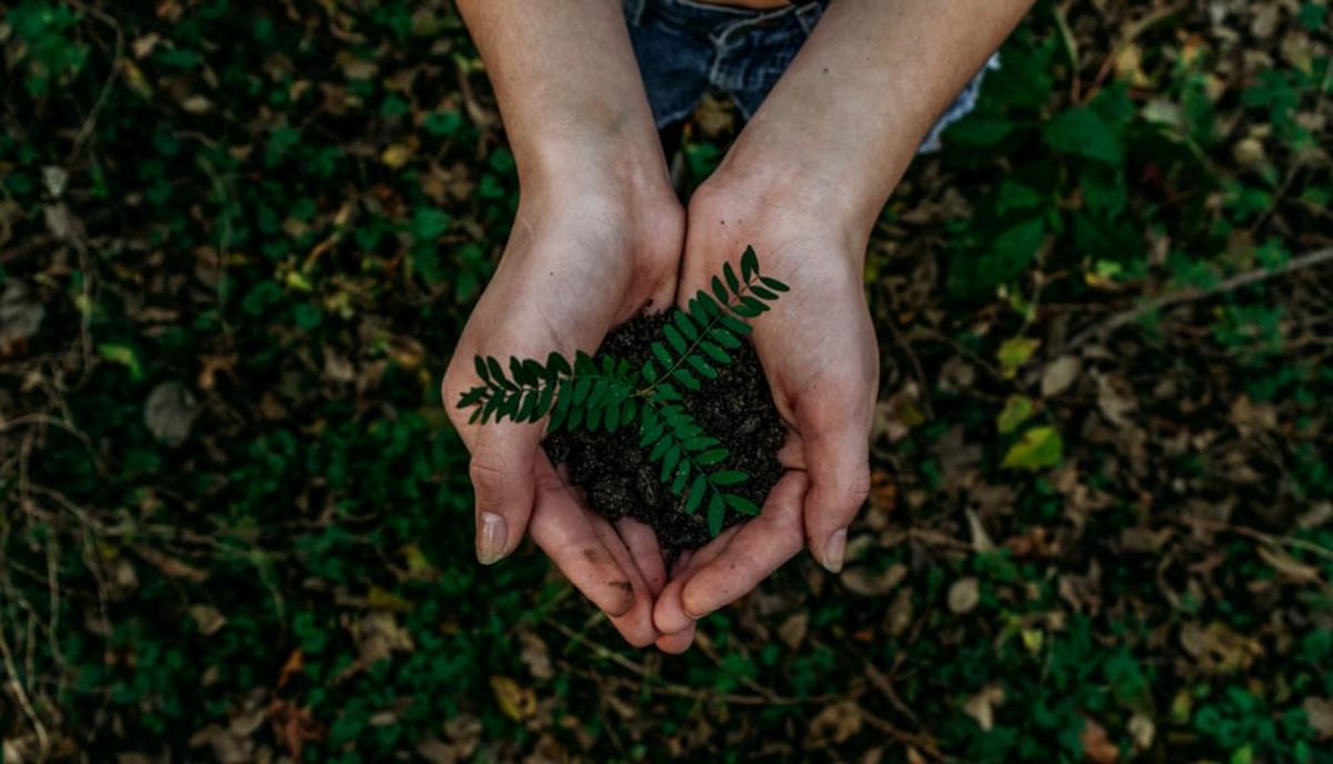 5 Easy & Simple Ways to Be More Green