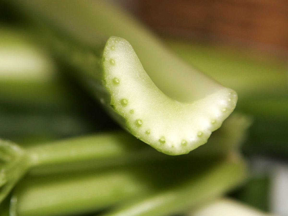 What are the Benefits of Celery