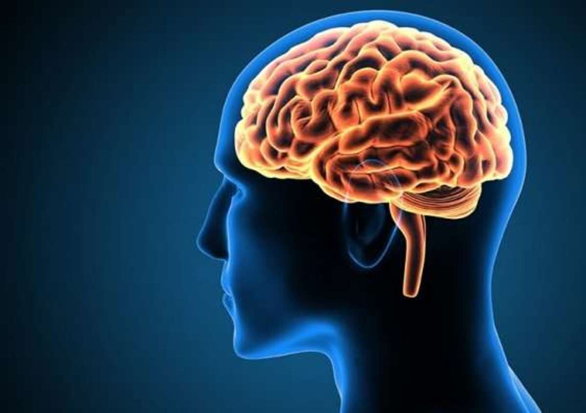 What Do Adhd, Depression, and Anxiety Have in Common?