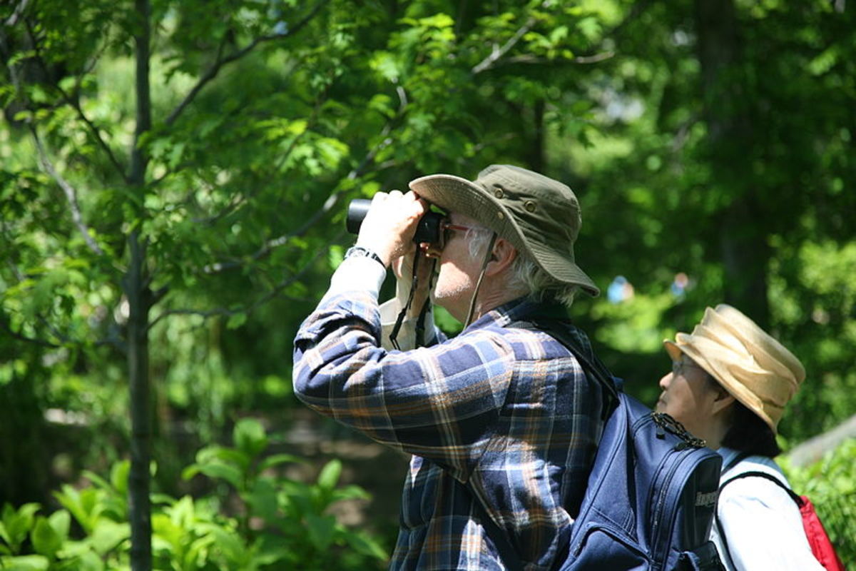 Birdwatchers vs. Twitchers