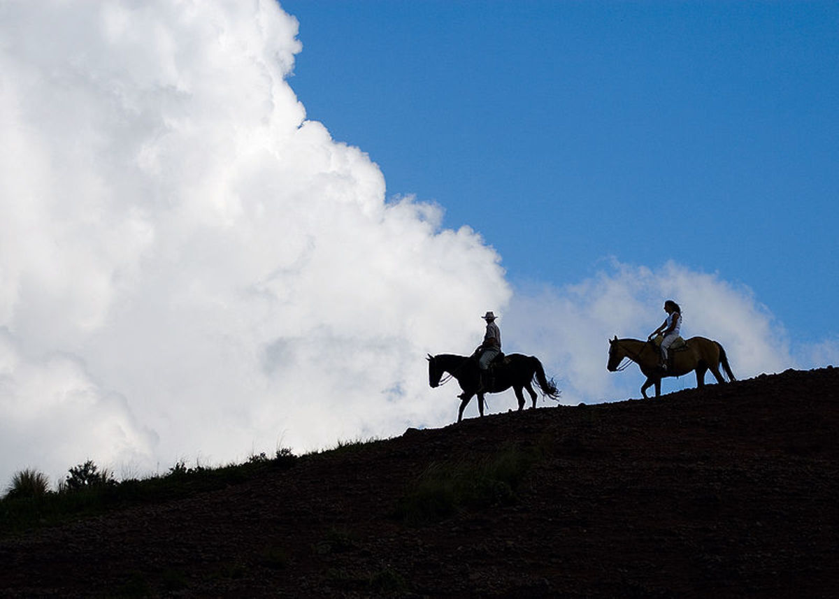 Ideas for Trips in Argentina - Estancia
