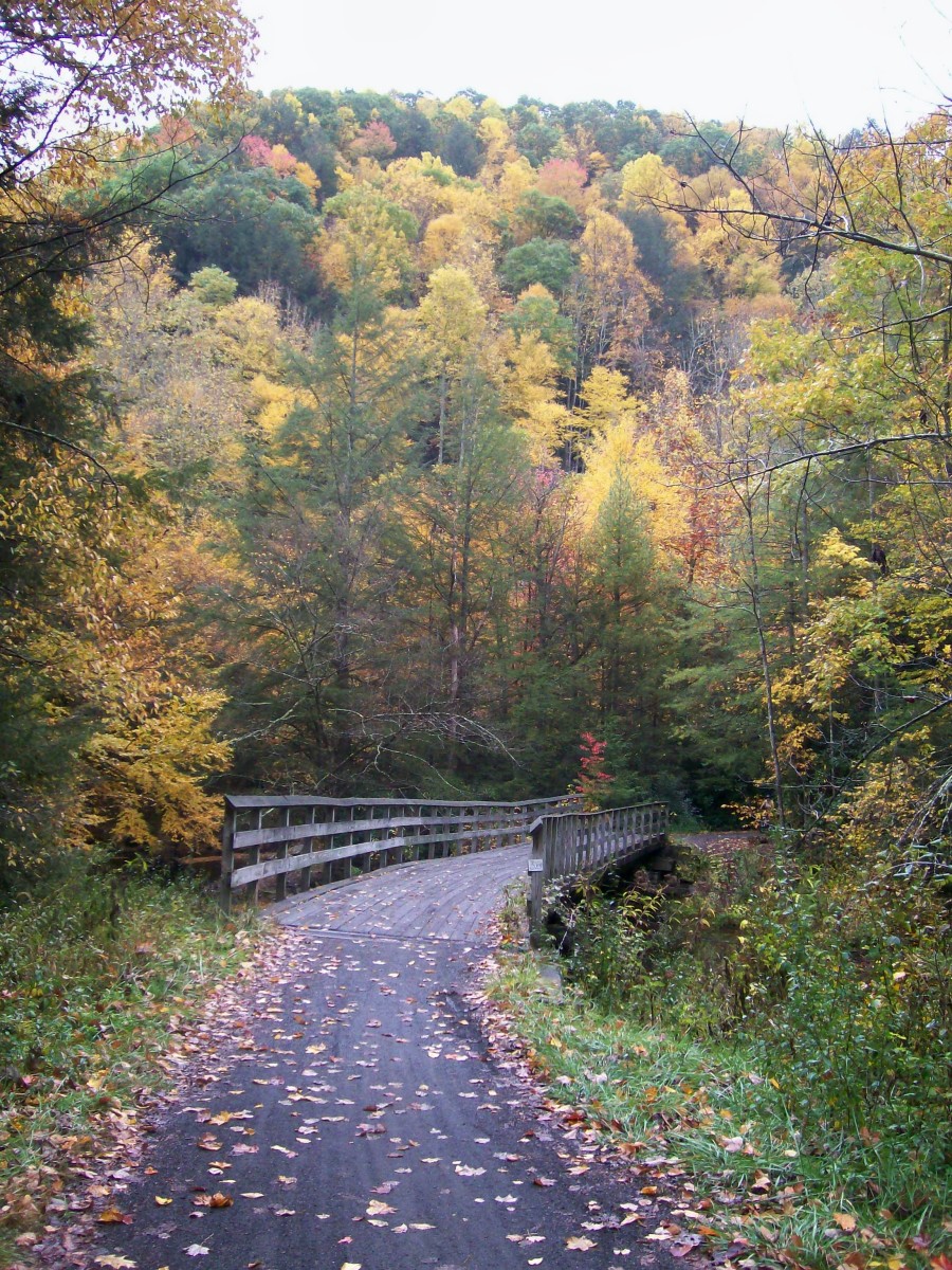 Which Road Leads To Happiness? Feeling your desitination and not your path