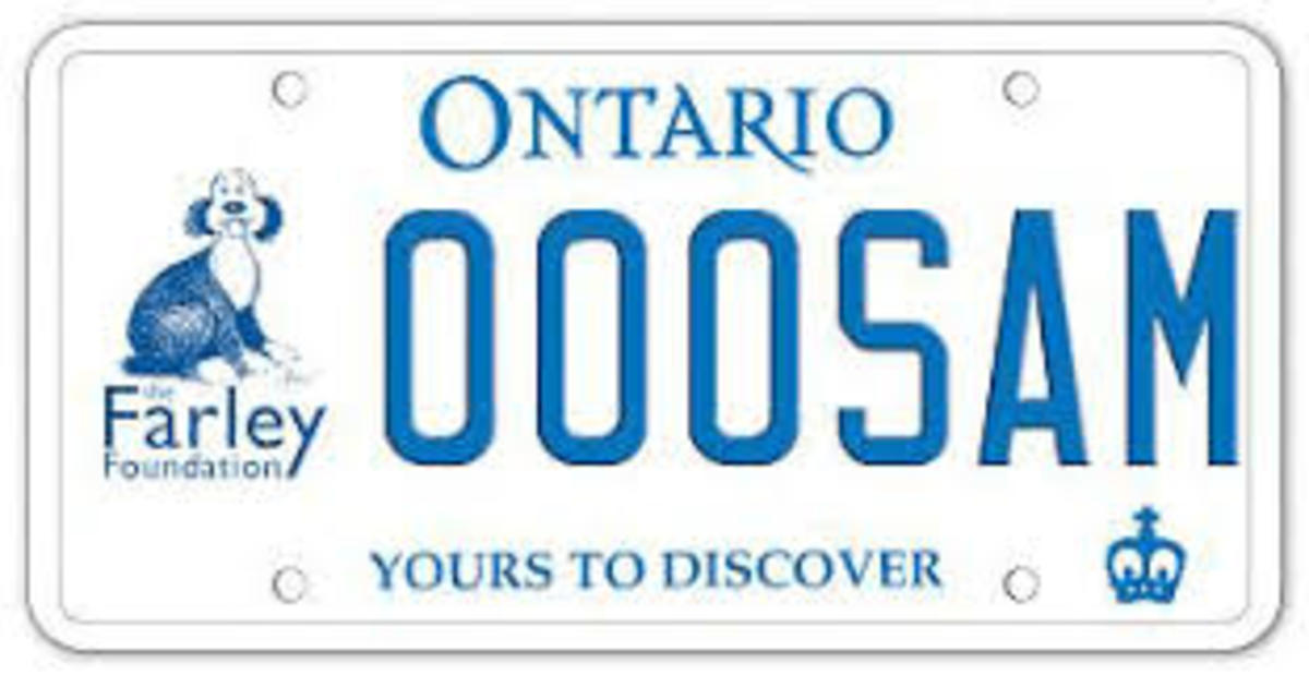 Ford Nation:  Forget Education - Let's Change License Plates!