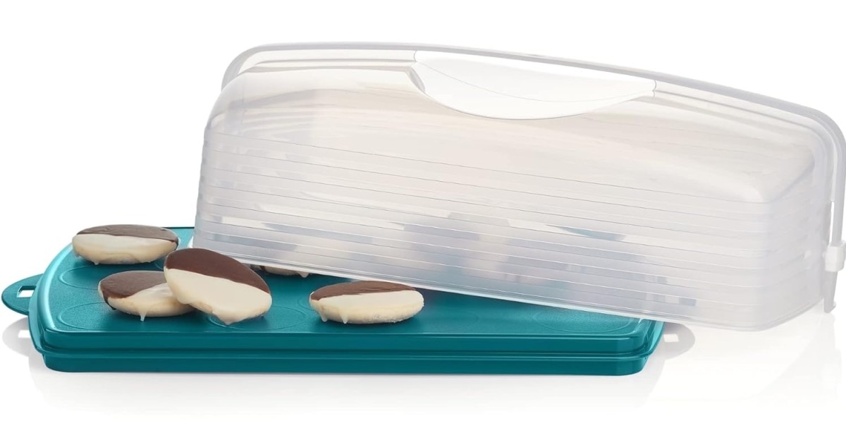 A Tupperware Rectangular Cake and Cupcake Taker Review