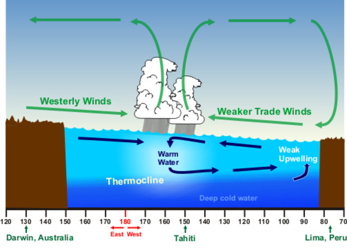 The El Niño Effect: Why This Winter is So Warm and Other Climate Consequences