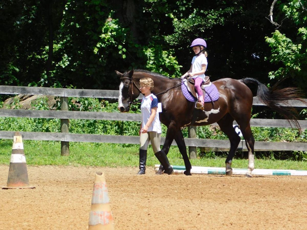 Dear Ehh: Advice for Parents With Disappointed Riders