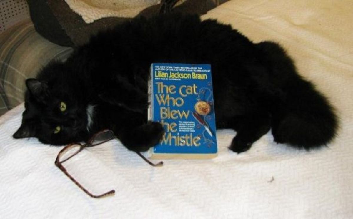 Gift Ideas for Cat Mystery Book Lovers - HubPages
